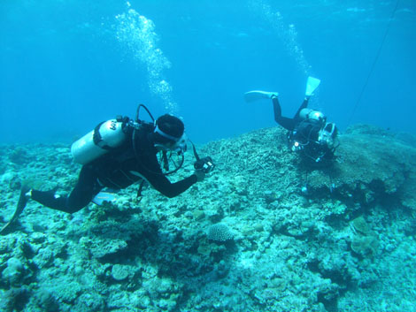 Scenary at using Underwater Visible Light Communications